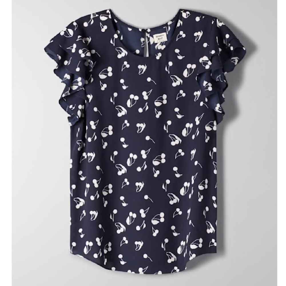 Aritzia Sunday Best Blouse